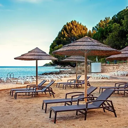 Eva - Storia Parentina *